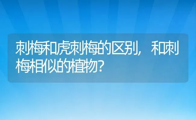 刺梅和虎刺梅的区别,和刺梅相似的植物？ | 养殖常见问题