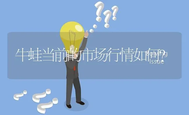 牛蛙当前的市场行情如何? | 养殖问题解答