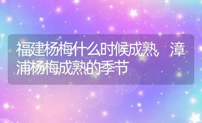 福建杨梅什么时候成熟,漳浦杨梅成熟的季节 | 养殖常见问题