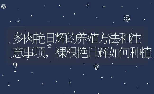 多肉艳日辉的养殖方法和注意事项,裸根艳日辉如何种植？ | 养殖常见问题