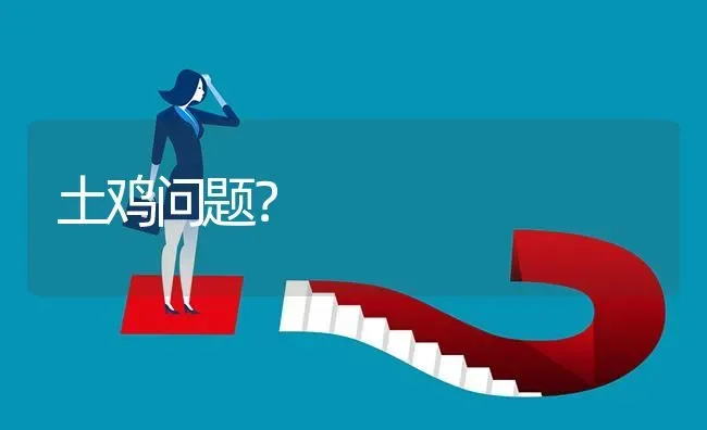 土鸡问题? | 养殖问题解答
