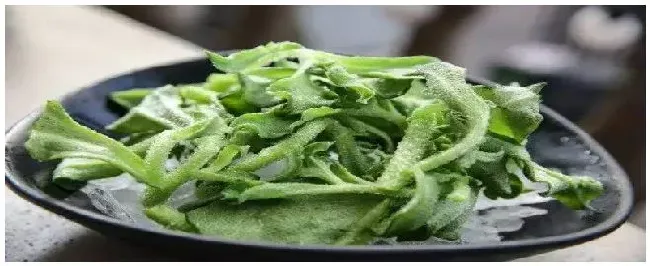 冰菜怎么种 | 农业答疑