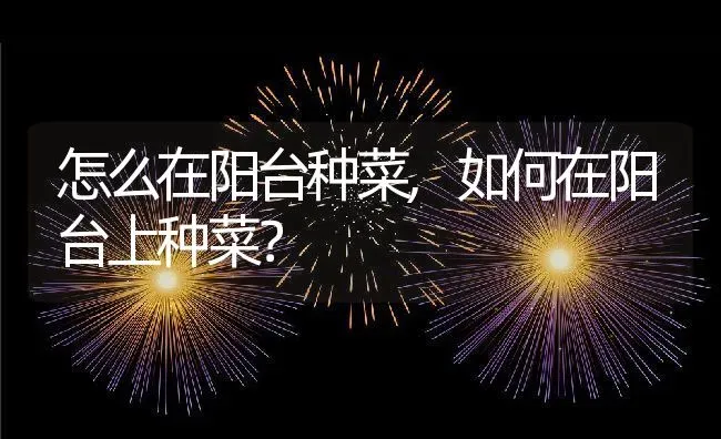 怎么在阳台种菜,如何在阳台上种菜？ | 养殖常见问题