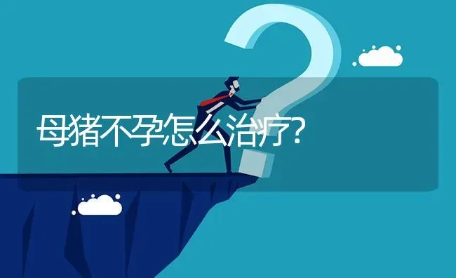 母猪不孕怎么治疗? | 养殖问题解答