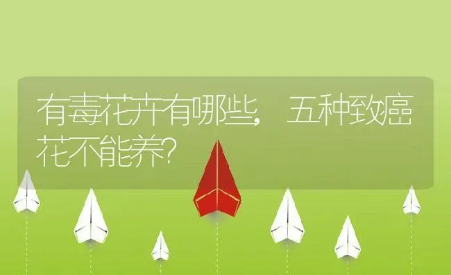 有毒花卉有哪些,五种致癌花不能养？ | 养殖常见问题