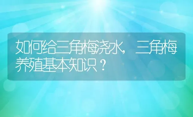 如何给三角梅浇水,三角梅养殖基本知识？ | 养殖常见问题