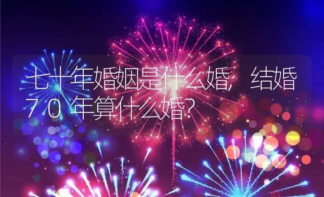 七十年婚姻是什么婚,结婚70年算什么婚？ | 养殖常见问题