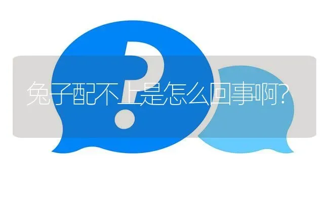 兔子配不上是怎么回事啊? | 养殖问题解答