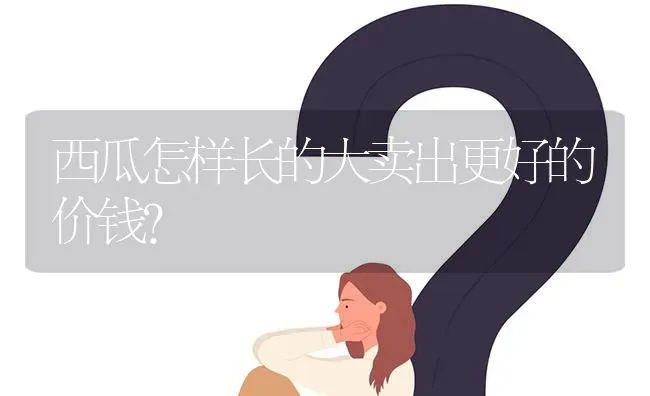 西瓜怎样长的大卖出更好的价钱? | 养殖问题解答