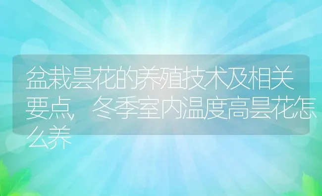 盆栽昙花的养殖技术及相关要点,冬季室内温度高昙花怎么养 | 养殖常见问题