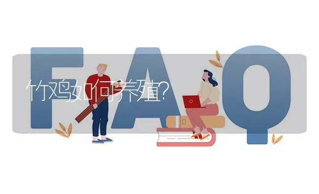 竹鸡如何养殖? | 养殖问题解答