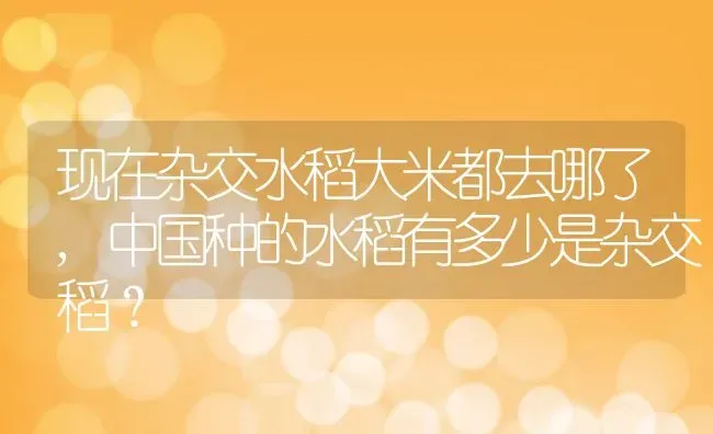 现在杂交水稻大米都去哪了,中国种的水稻有多少是杂交稻？ | 养殖常见问题