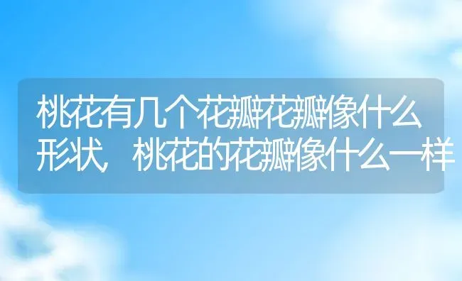 榆叶梅是梅花吗,榆叶梅与腊梅区别？ | 养殖常见问题