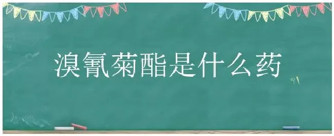 溴氰菊酯是什么药 | 农业常识