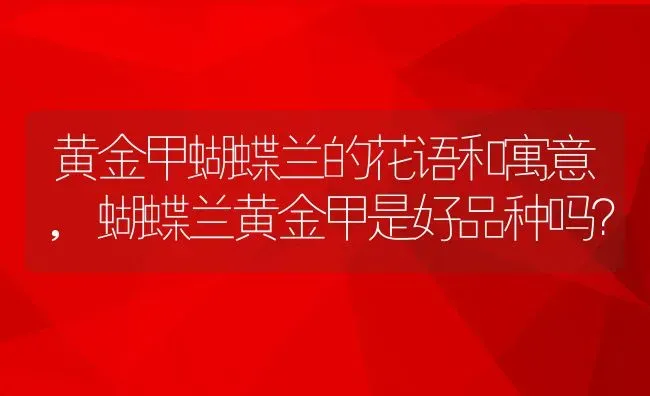 黄金甲蝴蝶兰的花语和寓意,蝴蝶兰黄金甲是好品种吗？ | 养殖常见问题