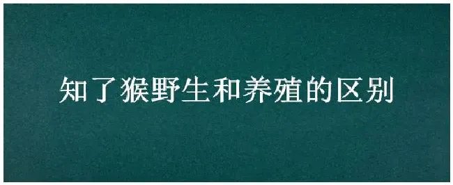 知了猴野生和养殖的区别 | 农业常识