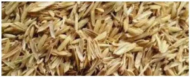 稻壳的用途 | 农业答疑