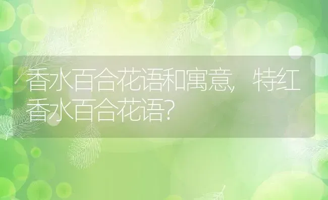 香水百合花语和寓意,特红香水百合花语？ | 养殖常见问题