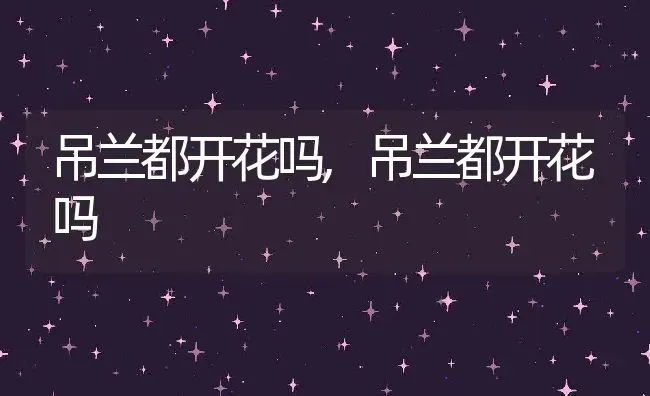 吊兰都开花吗,吊兰都开花吗 | 养殖常见问题
