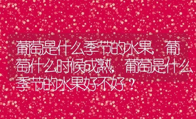 葡萄是什么季节的水果,葡萄什么时候成熟，葡萄是什么季节的水果好不好？ | 养殖常见问题