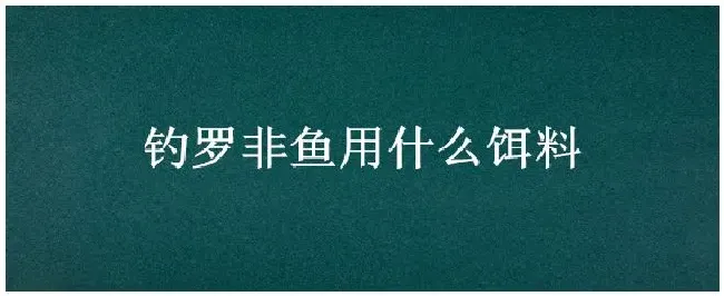 钓罗非鱼用什么饵料 | 农业常识