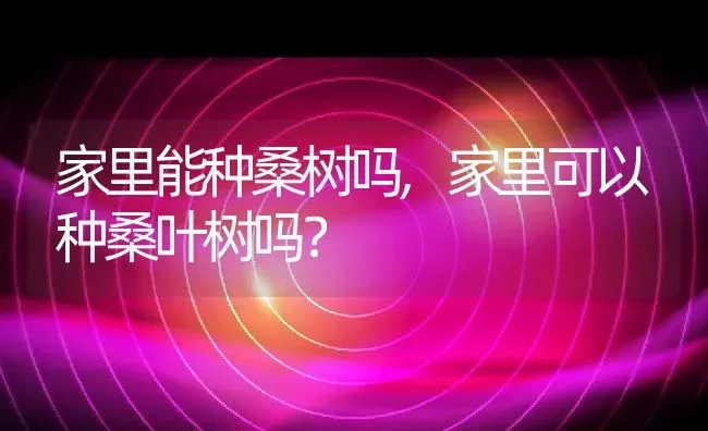 家里能种桑树吗,家里可以种桑叶树吗？ | 养殖常见问题
