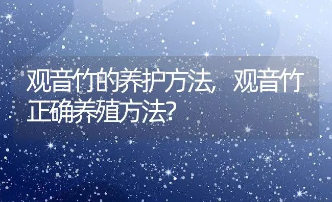 观音竹的养护方法,观音竹正确养殖方法？ | 养殖常见问题