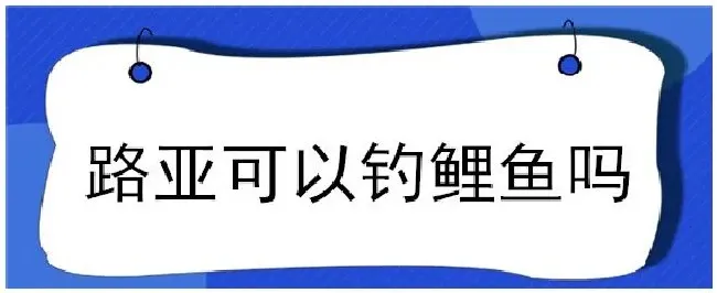 路亚可以钓鲤鱼吗 | 农业答疑