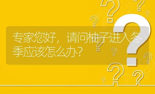 专家您好,请问柚子进入冬季应该怎么办? | 养殖问题解答