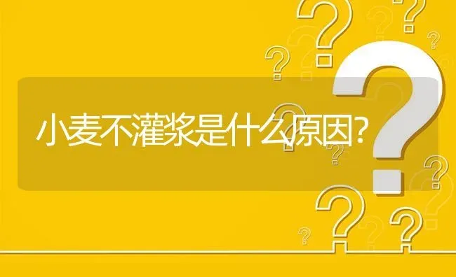 小麦不灌浆是什么原因? | 养殖问题解答