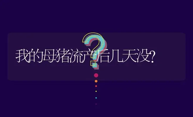 我的母猪流产后几天没? | 养殖问题解答