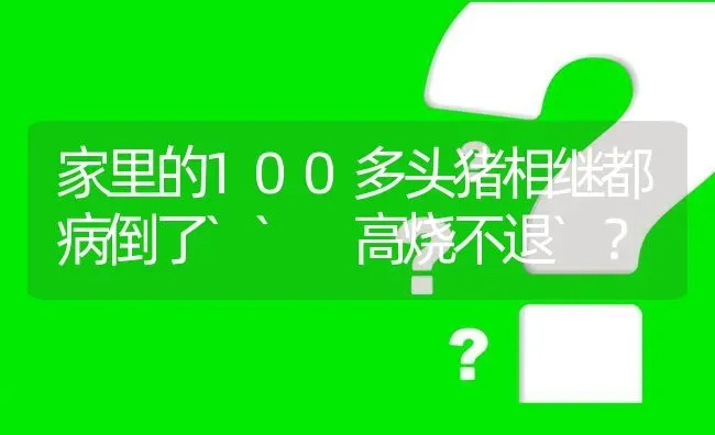 家里的100多头猪相继都病倒了`` 高烧不退`? | 养殖问题解答