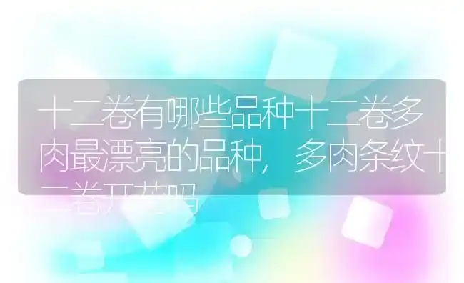 十二卷有哪些品种十二卷多肉最漂亮的品种,多肉条纹十二卷开花吗 | 养殖常见问题