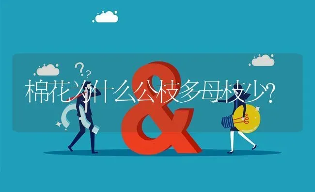 棉花为什么公枝多母枝少? | 养殖问题解答