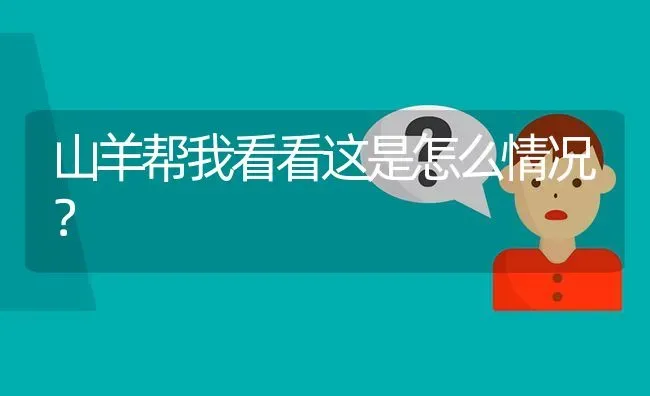 山羊帮我看看这是怎么情况? | 养殖问题解答
