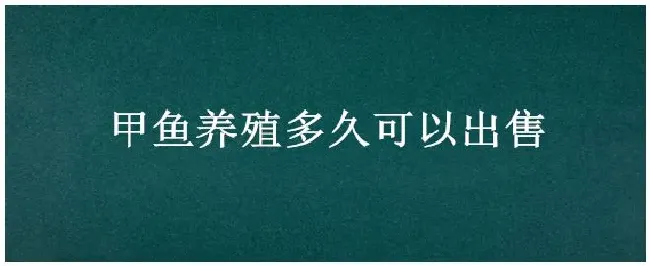 甲鱼养殖多久可以出售 | 生活常识