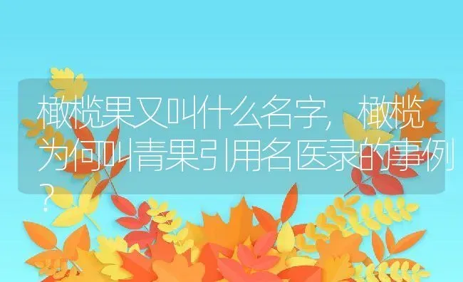 橄榄果又叫什么名字,橄榄为何叫青果引用名医录的事例？ | 养殖常见问题