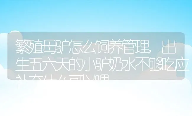 白掌花怎么养,室内盆栽白掌怎么养？盆栽白掌的养殖方法？ | 养殖常见问题