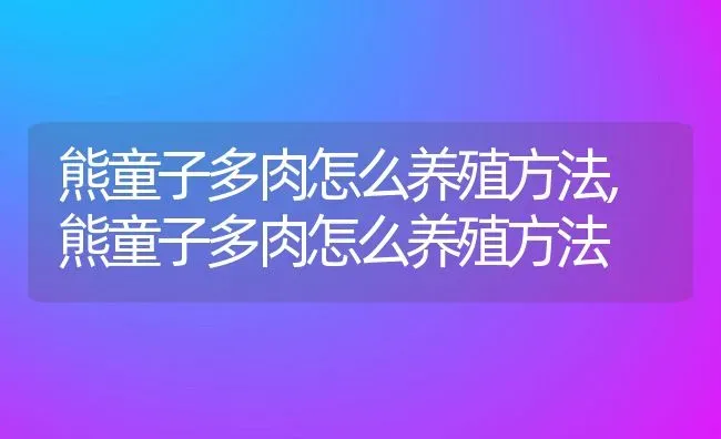 熊童子多肉怎么养殖方法,熊童子多肉怎么养殖方法 | 养殖常见问题