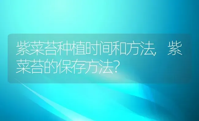 紫菜苔种植时间和方法,紫菜苔的保存方法？ | 养殖常见问题