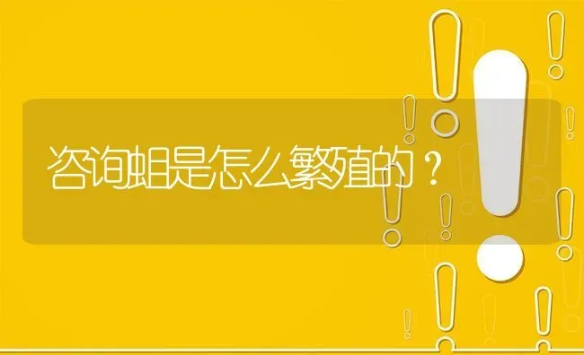 咨询蛆是怎么繁殖的? | 养殖问题解答