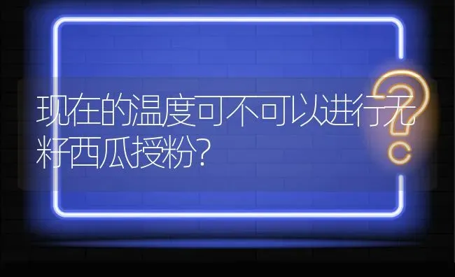 现在的温度可不可以进行无籽西瓜授粉? | 养殖问题解答