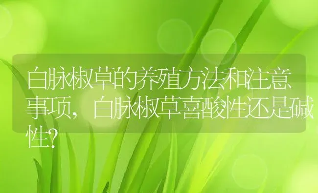 白脉椒草的养殖方法和注意事项,白脉椒草喜酸性还是碱性？ | 养殖常见问题