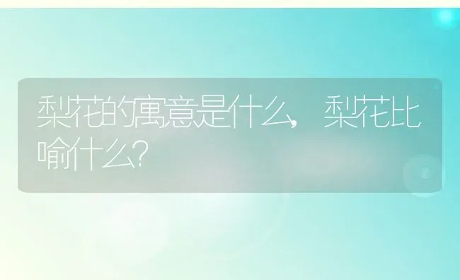 梨花的寓意是什么,梨花比喻什么？ | 养殖常见问题