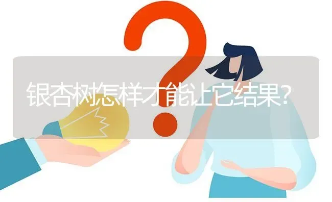 银杏树怎样才能让它结果? | 养殖问题解答