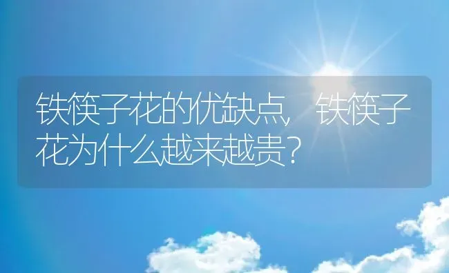 铁筷子花的优缺点,铁筷子花为什么越来越贵？ | 养殖常见问题