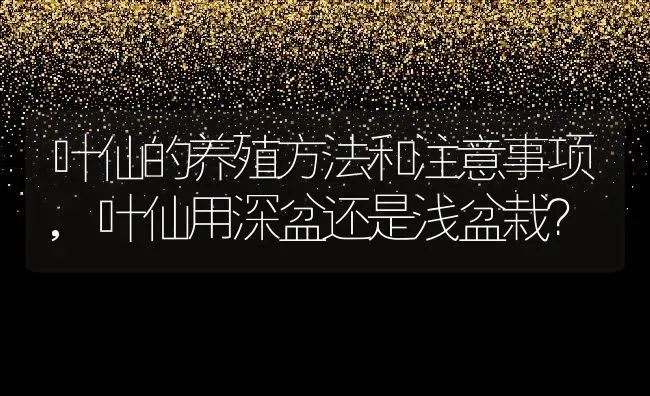 叶仙的养殖方法和注意事项,叶仙用深盆还是浅盆栽？ | 养殖常见问题