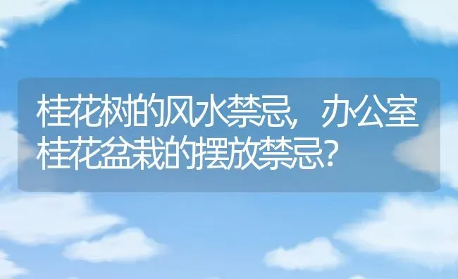 桂花树的风水禁忌,办公室桂花盆栽的摆放禁忌？ | 养殖常见问题