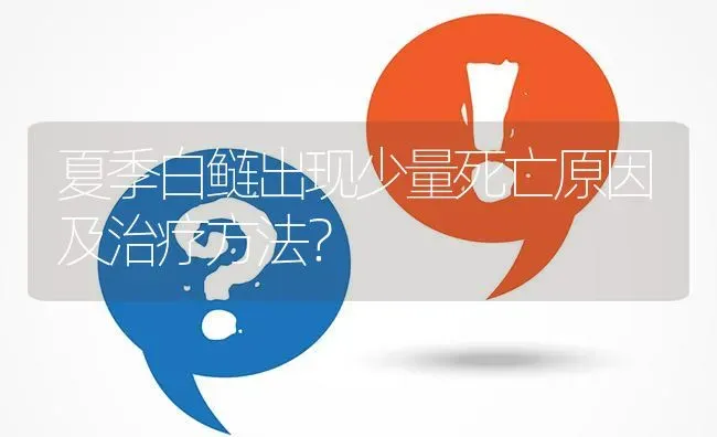夏季白鲢出现少量死亡原因及治疗方法? | 养殖问题解答