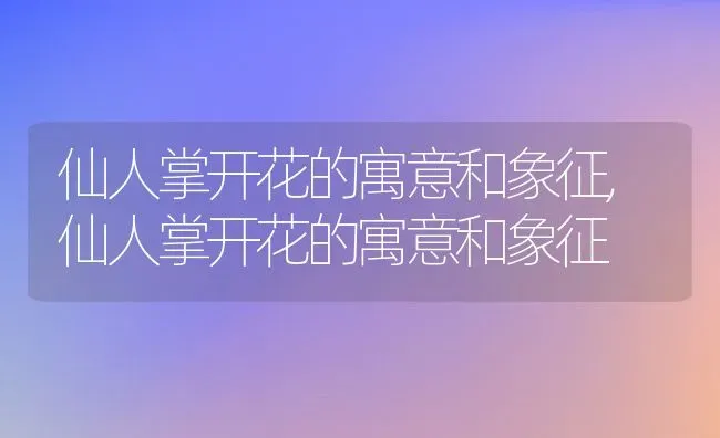 仙人掌开花的寓意和象征,仙人掌开花的寓意和象征 | 养殖常见问题